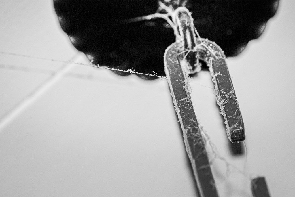 Pentax K10D / 25 Pentax K10D   25