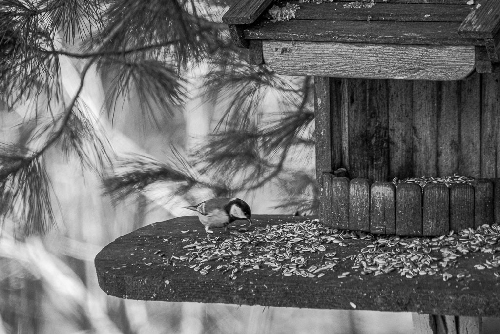 Pentax K10D / 27 Pentax K10D   27