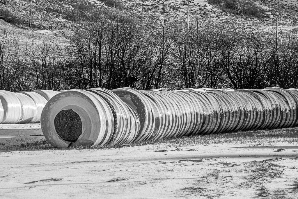 Pentax K10D / 27 Pentax K10D   27