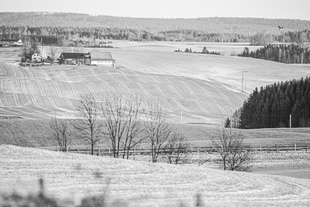 Pentax K10D / 27 Pentax K10D   27