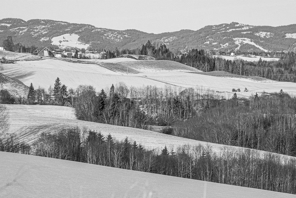 Pentax K10D / 27 Pentax K10D   27