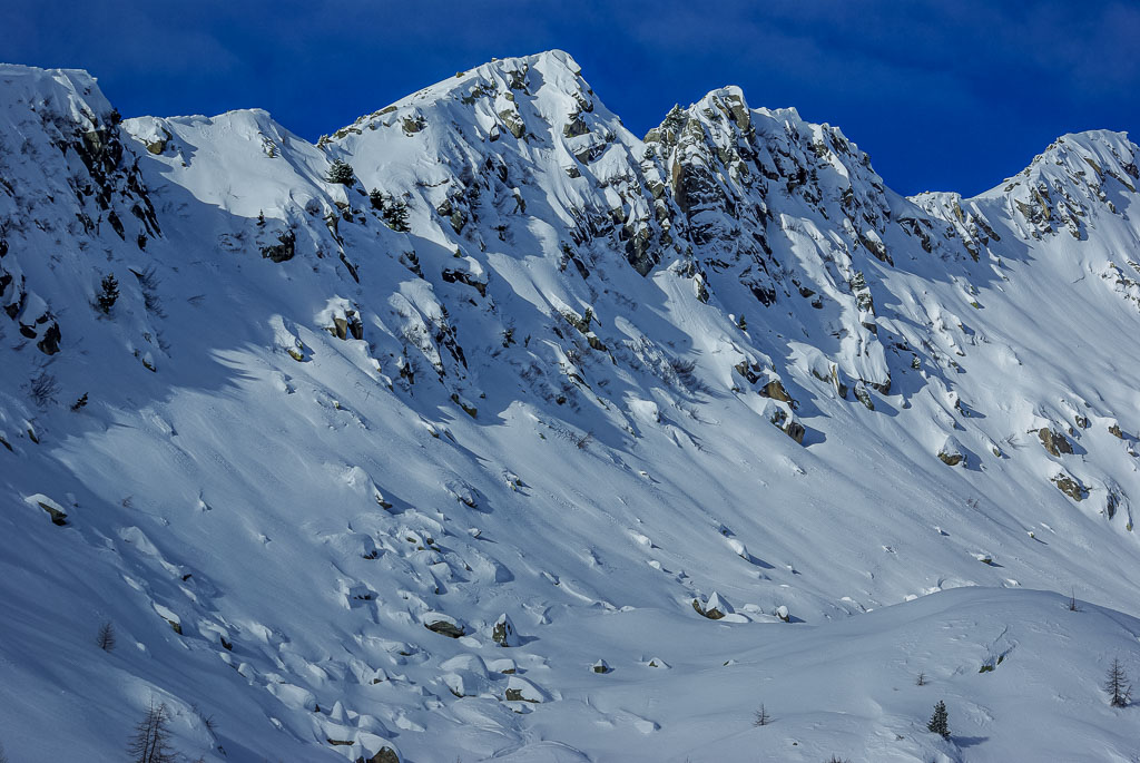 Pentax K10D / 5 Pentax K10D   5