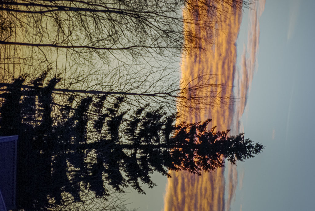 Pentax K10D / 7 Pentax K10D   7