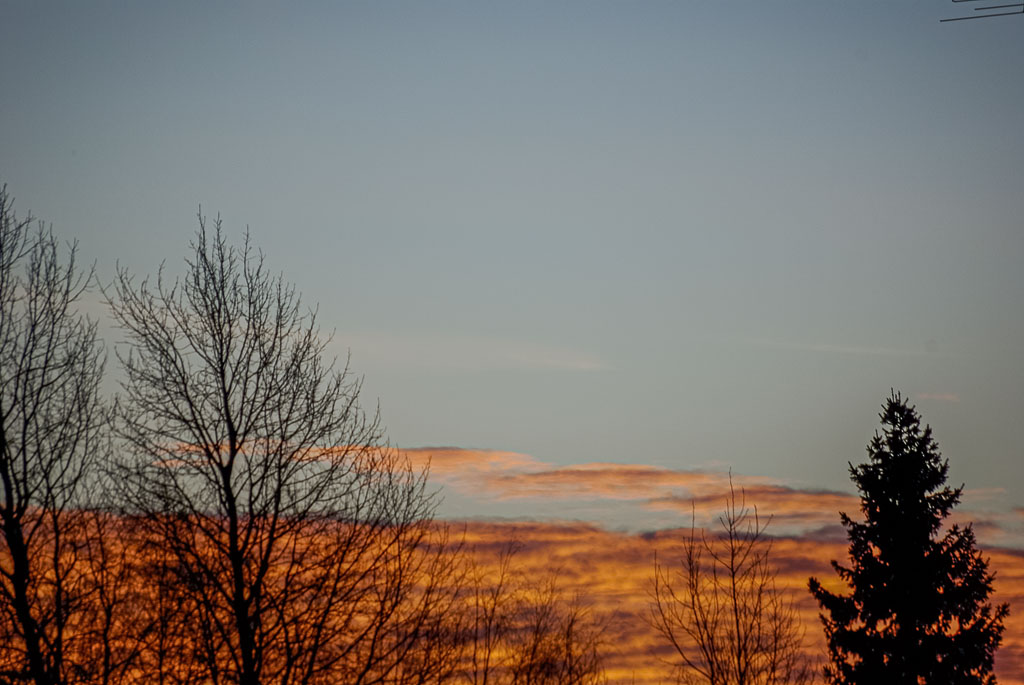 Pentax K10D / 7 Pentax K10D   7