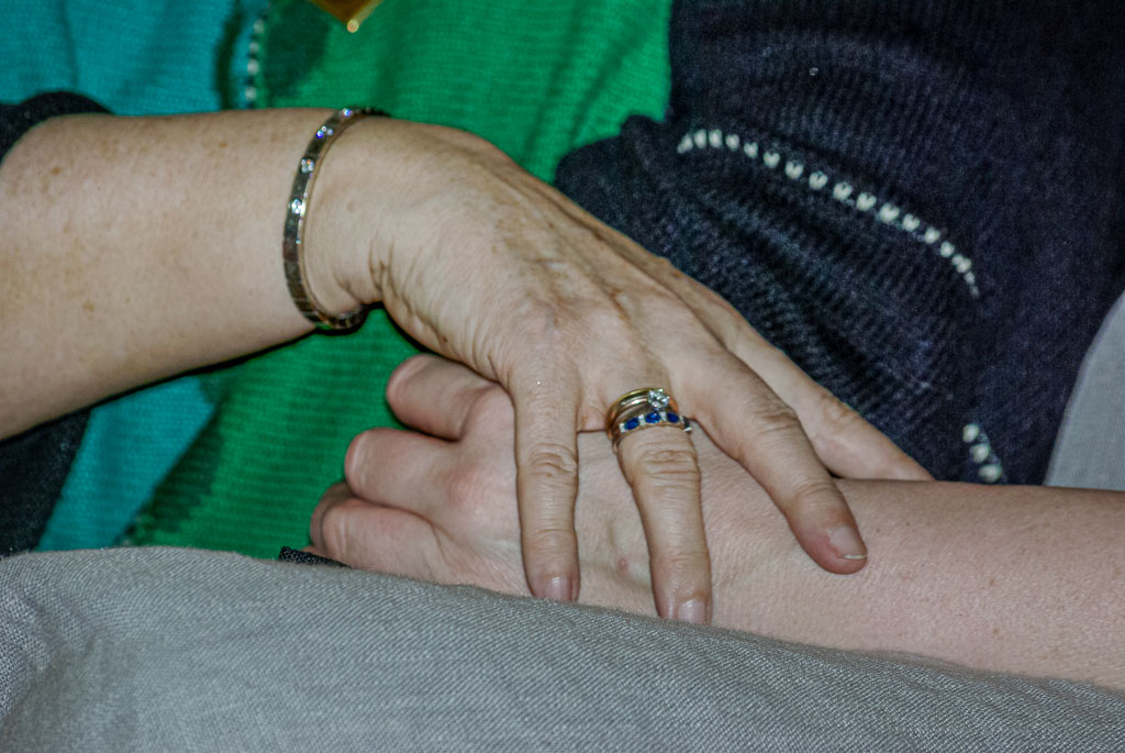 Pentax K10D / 8 Pentax K10D   8