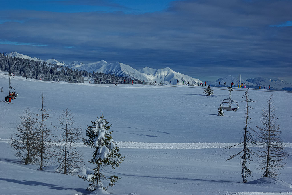 Pentax K10D / 5 Pentax K10D   5