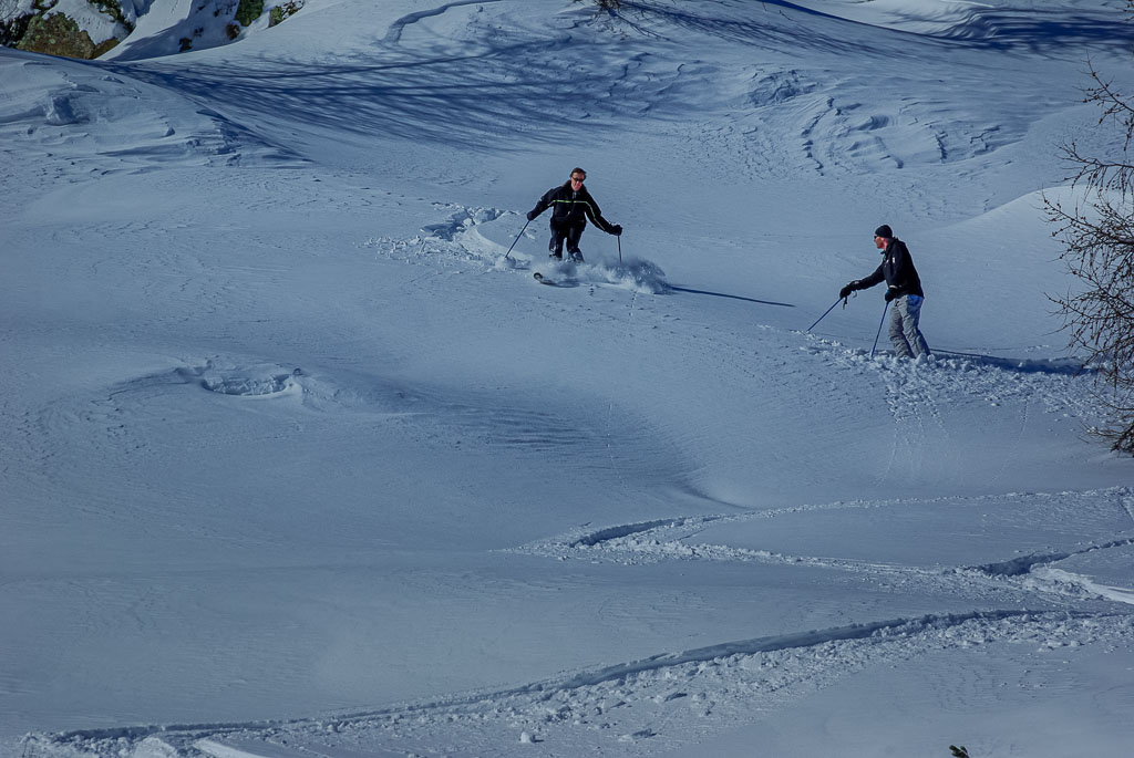 Pentax K10D / 5 Pentax K10D   5