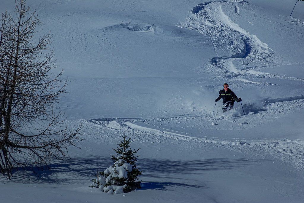 Pentax K10D / 5 Pentax K10D   5