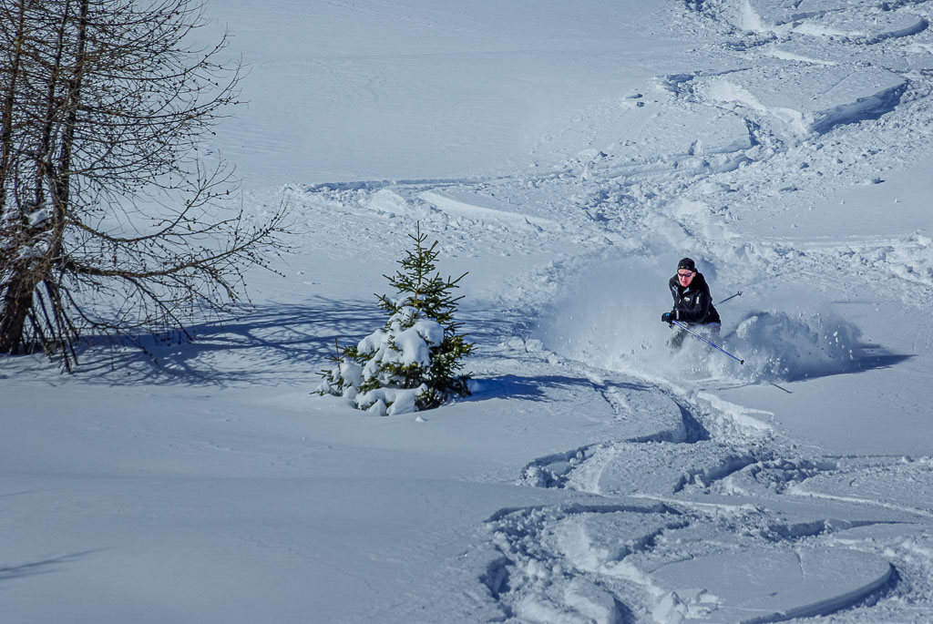 Pentax K10D / 5 Pentax K10D   5