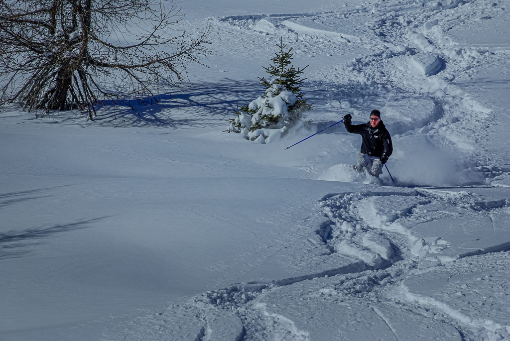 Pentax K10D / 5 Pentax K10D   5