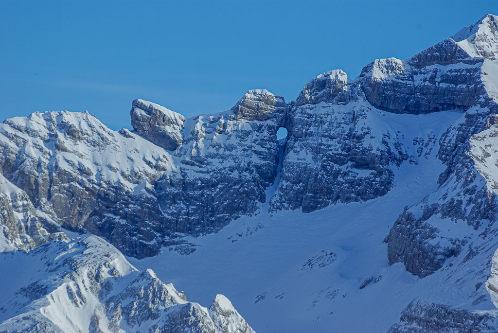 Pentax K10D / 5 Pentax K10D   5