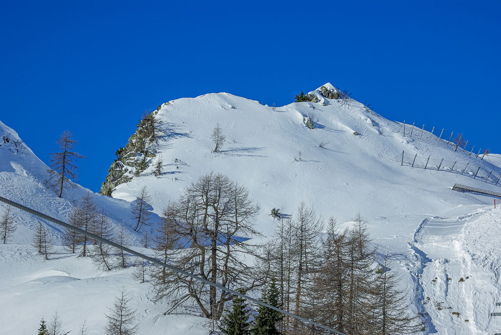 Pentax K10D / 7 Pentax K10D   7