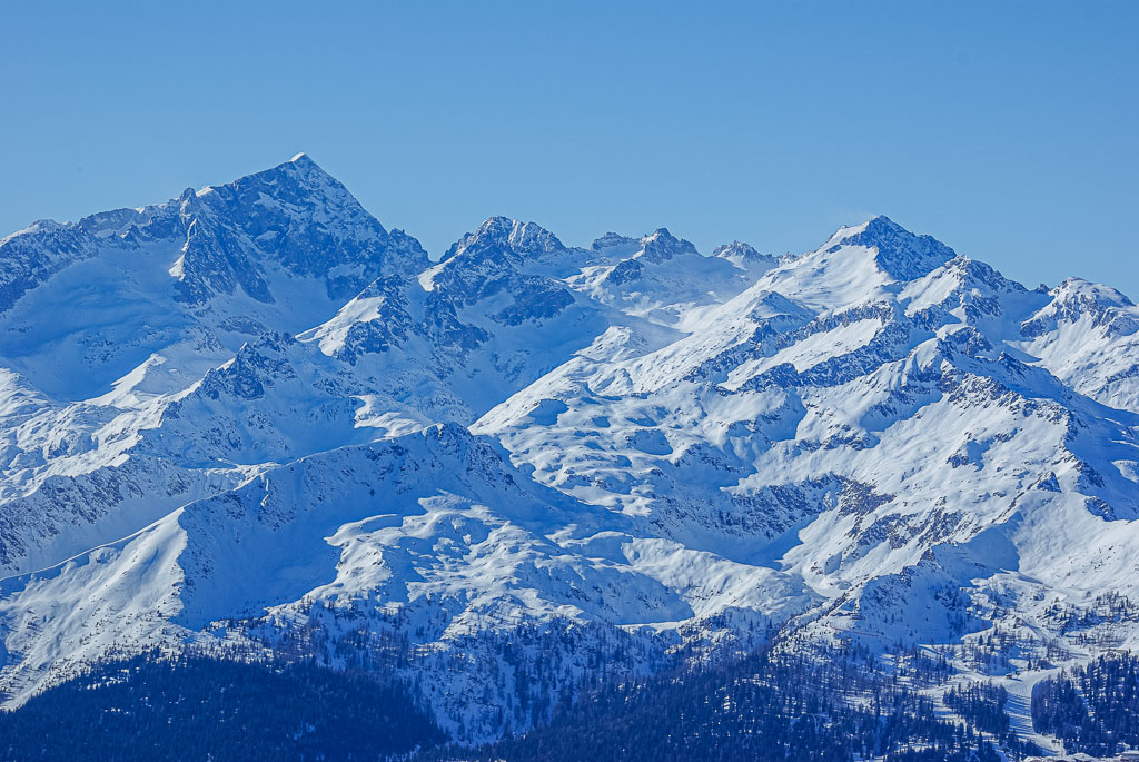 Pentax K10D / 7 Pentax K10D   7