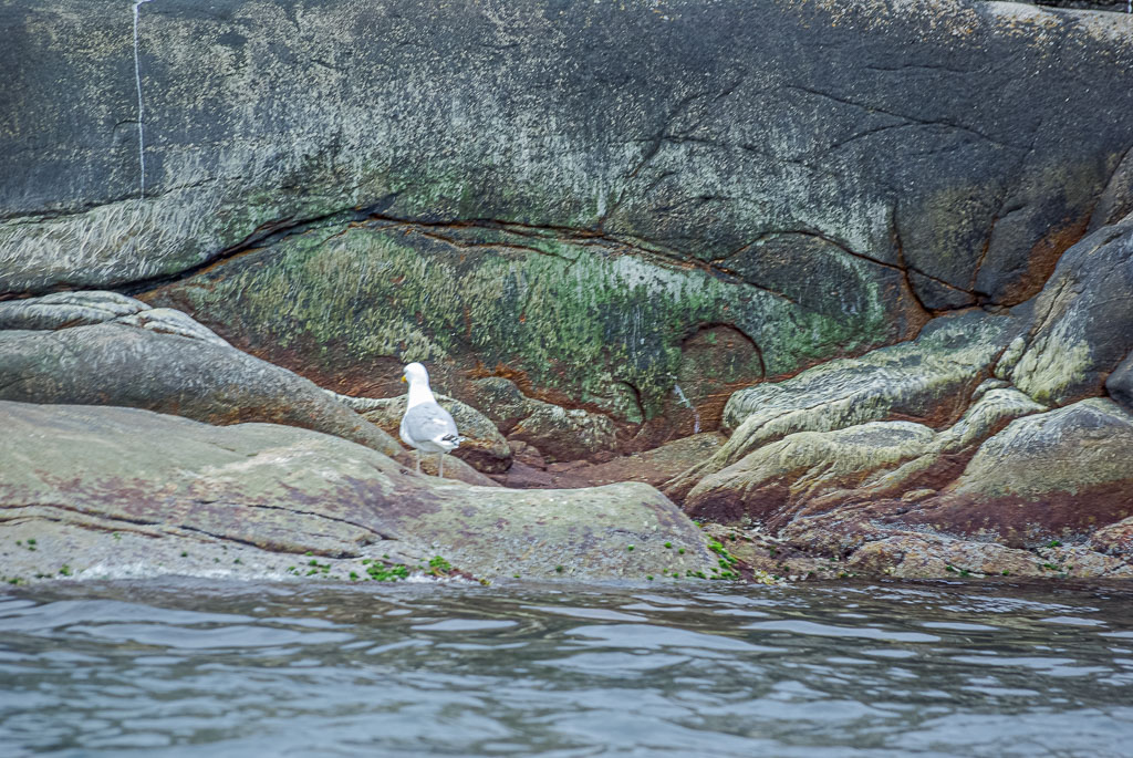 Pentax K10D / 24 Pentax K10D   24