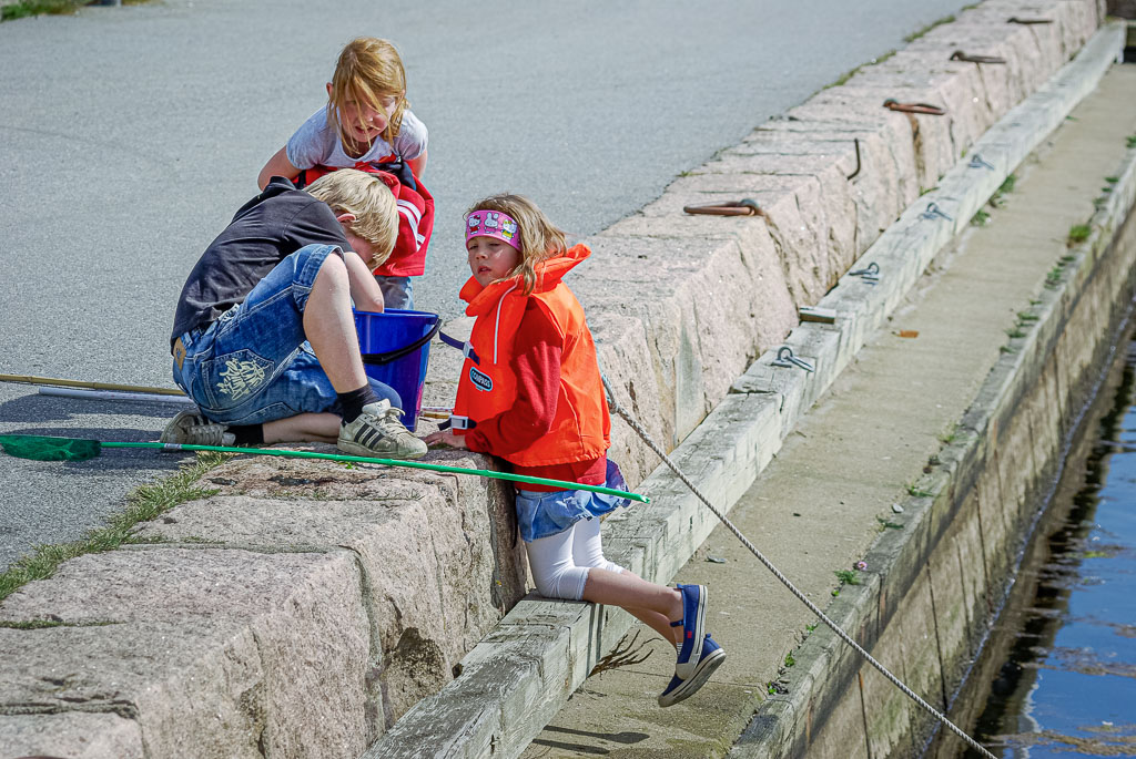 Pentax K10D / 24 Pentax K10D   24