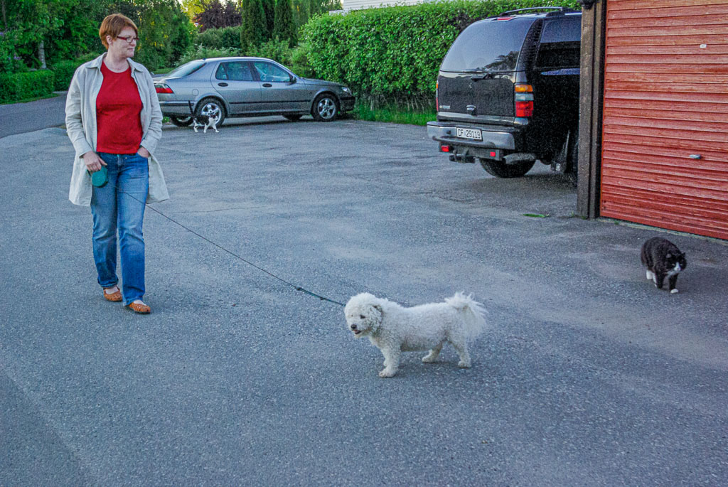 Pentax K10D / 27 Pentax K10D   27