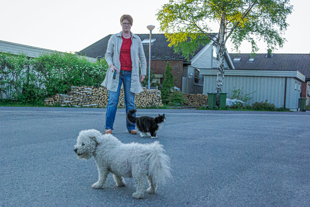 Pentax K10D / 27 Pentax K10D   27