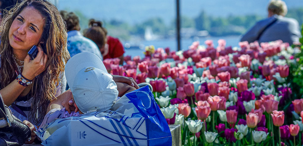 Pentax K10D / 10 Pentax K10D   10