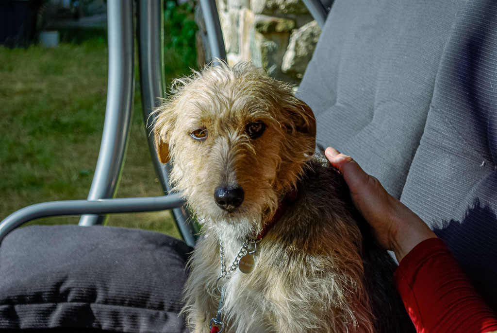 Pentax K10D / 20 Pentax K10D   20