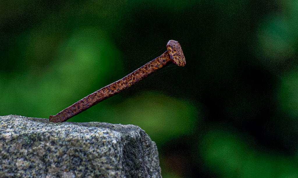 Pentax K10D / 22 Pentax K10D   22