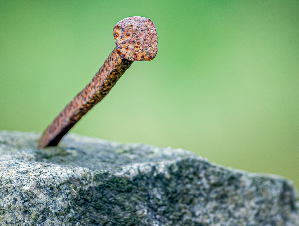 Pentax K10D / 22 Pentax K10D   22