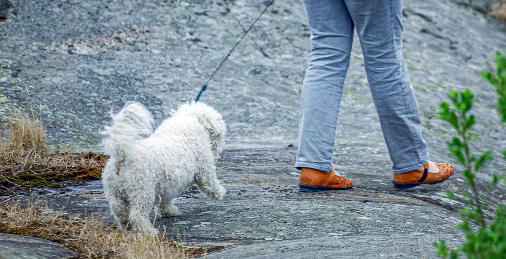 Pentax K10D / 22 Pentax K10D   22