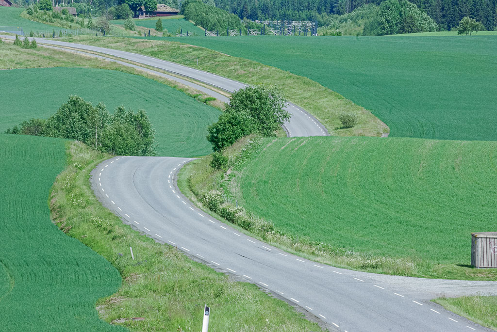 Pentax K10D / 29 Pentax K10D   29