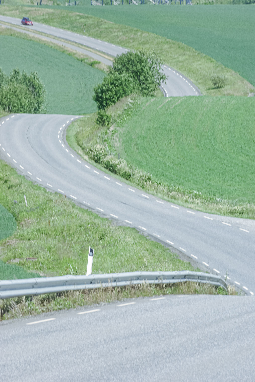 Pentax K10D / 29 Pentax K10D   29