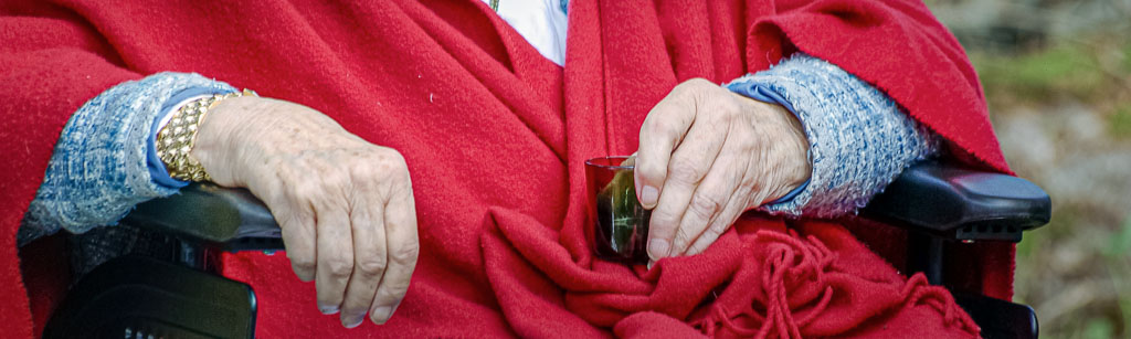 Pentax K10D / 14 Pentax K10D   14