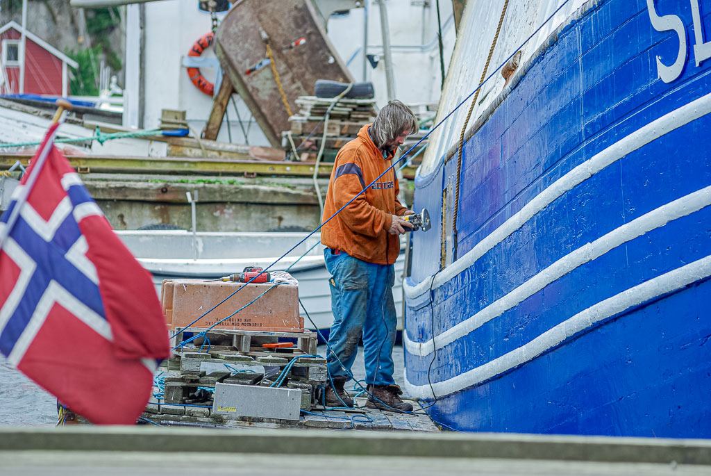 Pentax K10D / 15 Pentax K10D   15