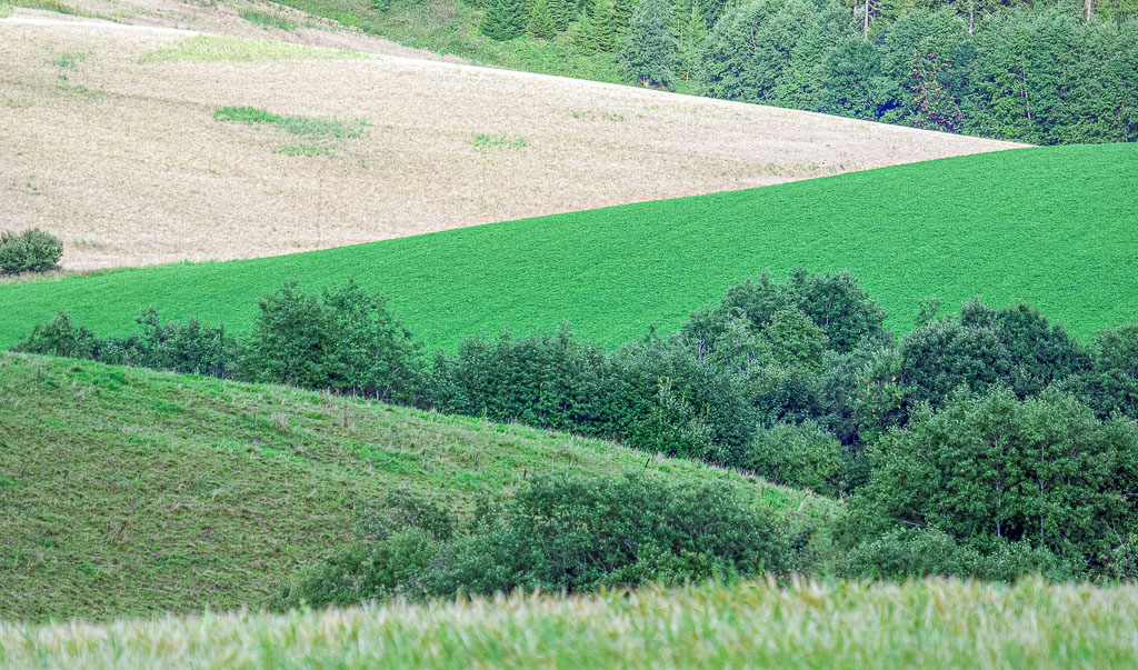 Pentax K10D / 20 Pentax K10D   20