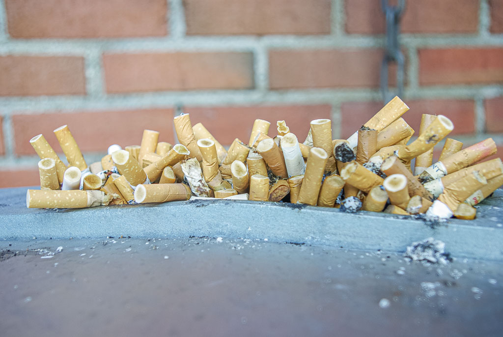 Pentax K10D / 27 Pentax K10D   27