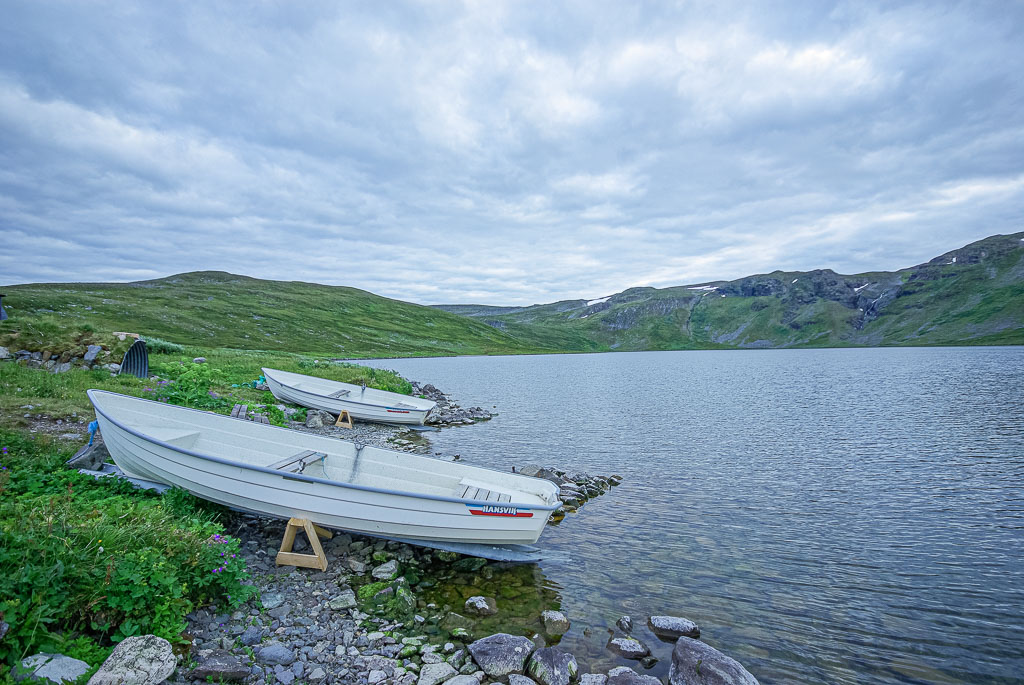 Pentax K10D / 5 Pentax K10D   5