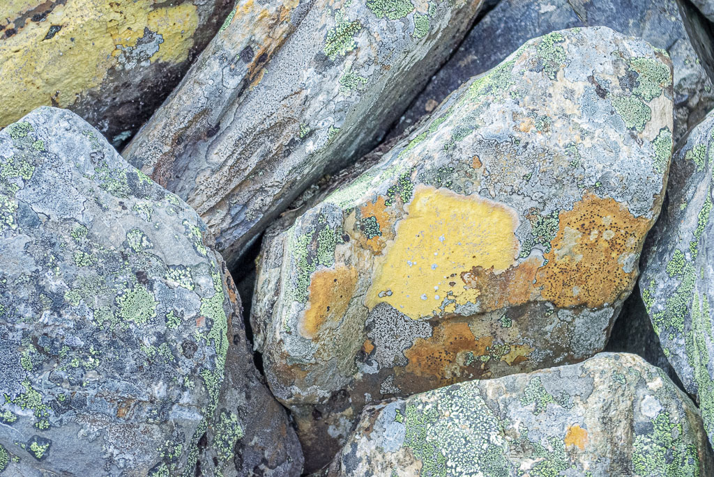 Pentax K10D / 6 Pentax K10D   6