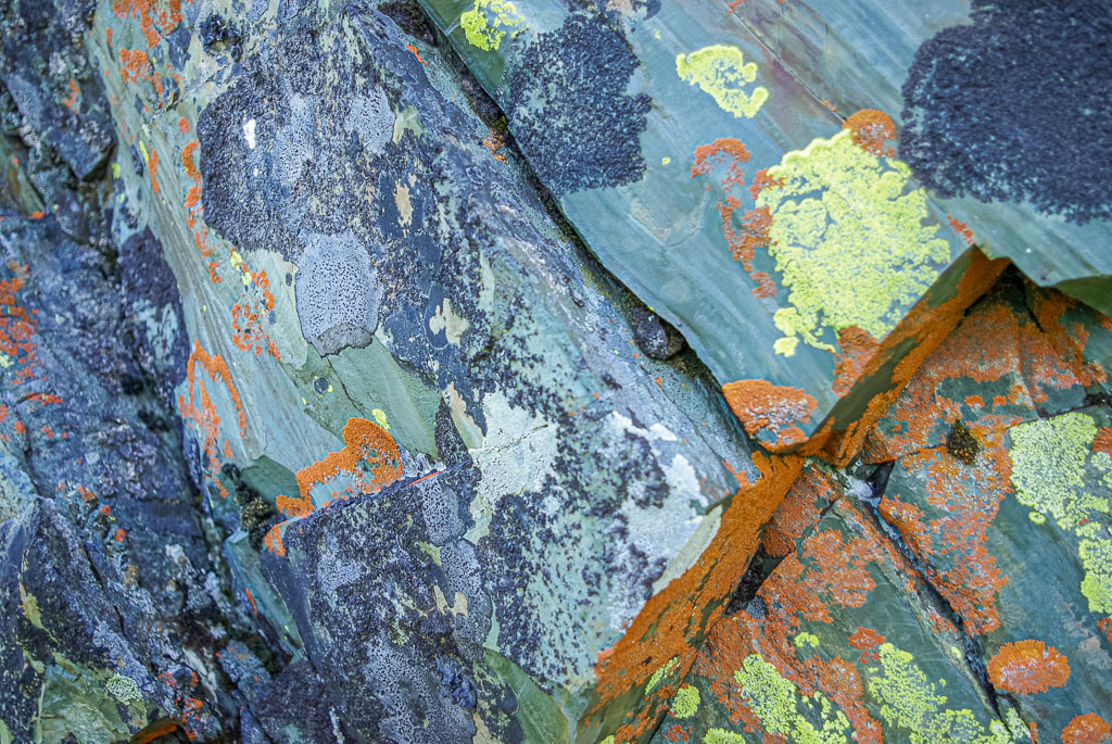 Pentax K10D / 6 Pentax K10D   6