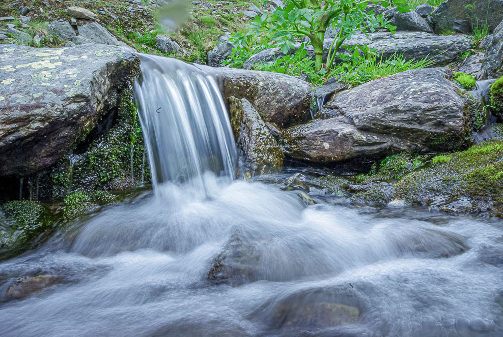 Pentax K10D / 8 Pentax K10D   8