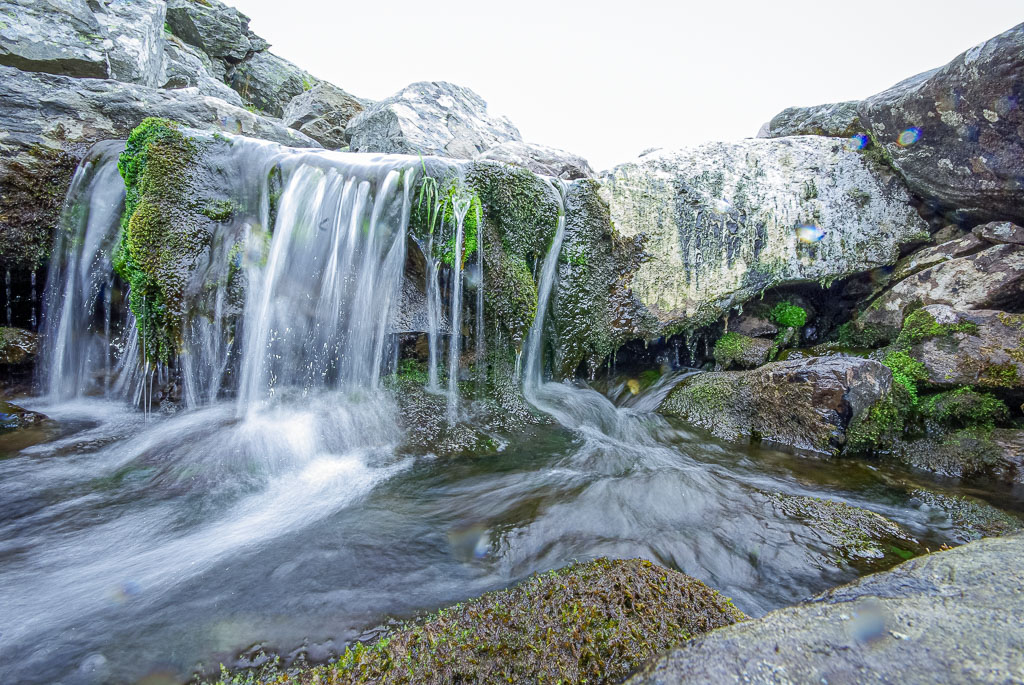 Pentax K10D / 8 Pentax K10D   8