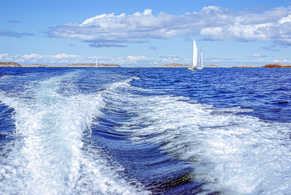 Pentax K10D / 16 Pentax K10D   16