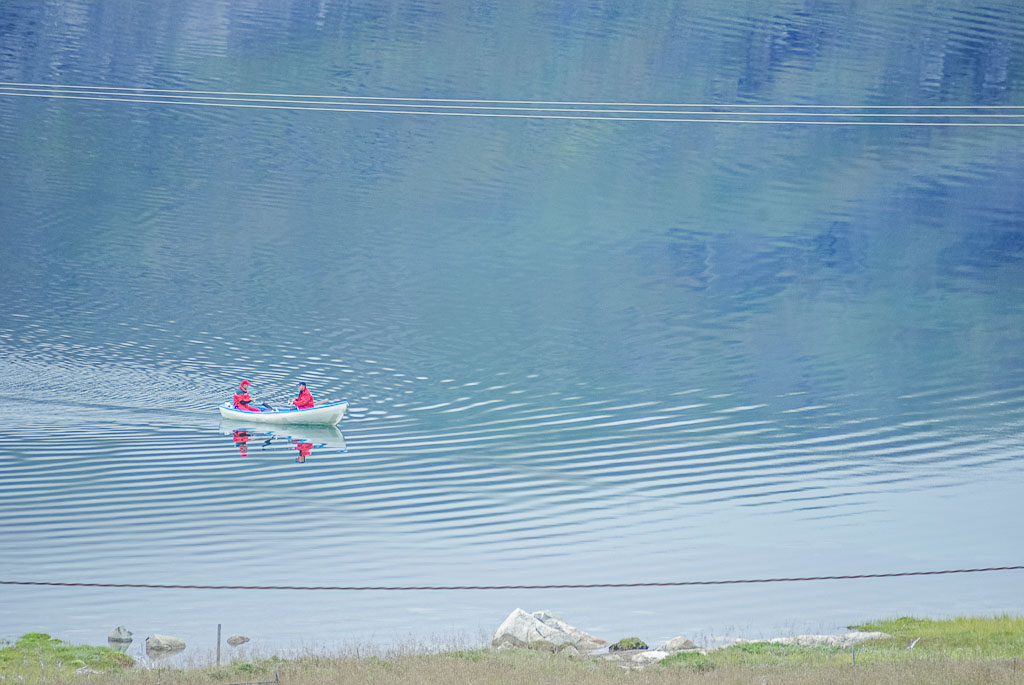 Pentax K10D / 31 Pentax K10D   31