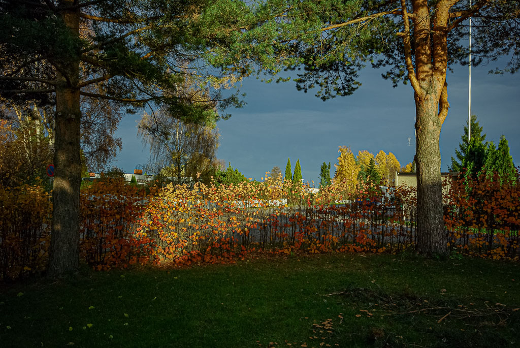 Pentax K10D / 12 Pentax K10D   12