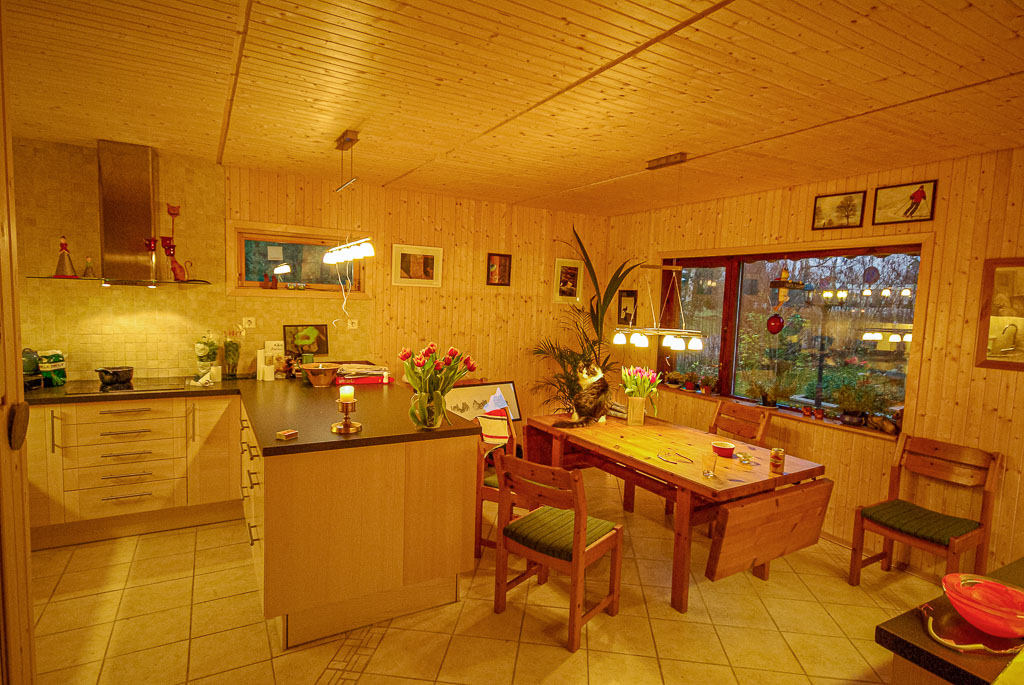 Pentax K10D / 26 Pentax K10D   26