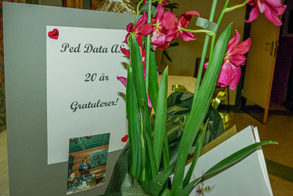 Pentax K10D / 8 Pentax K10D   8