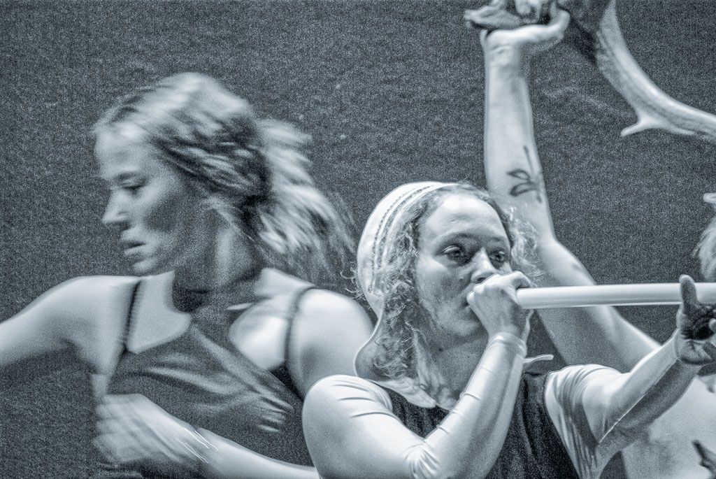 Pentax K10D / 29 Pentax K10D   29