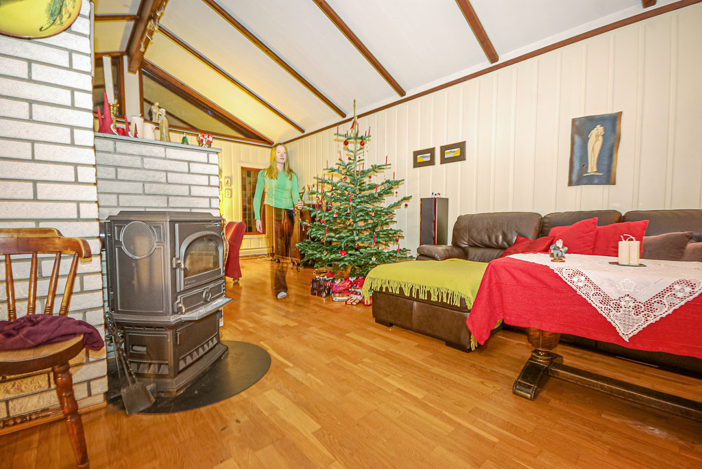 Pentax K10D / 24 Pentax K10D   24