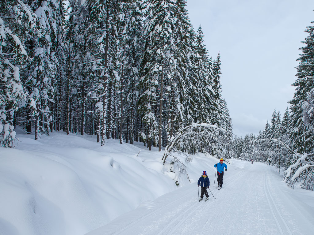 Pentax-K-1-2018-02-25-115700-Feb.jpg