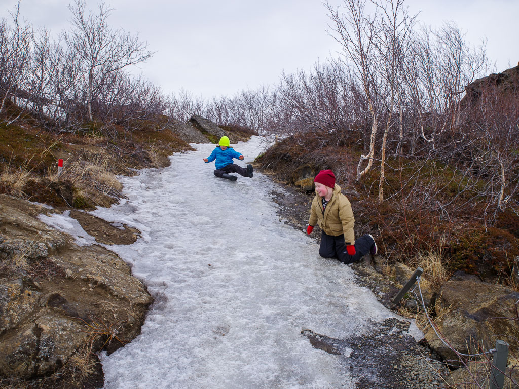 Pentax K-1 / 28 Pentax K-1   28