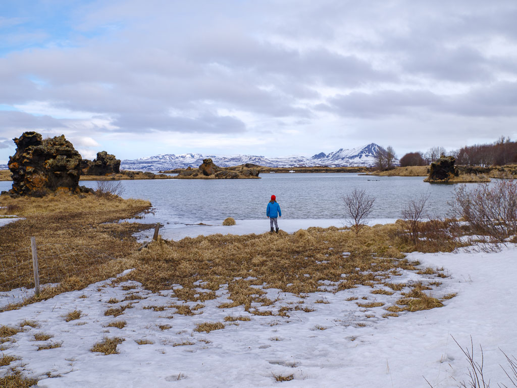 Pentax K-1 / 29 Pentax K-1   29