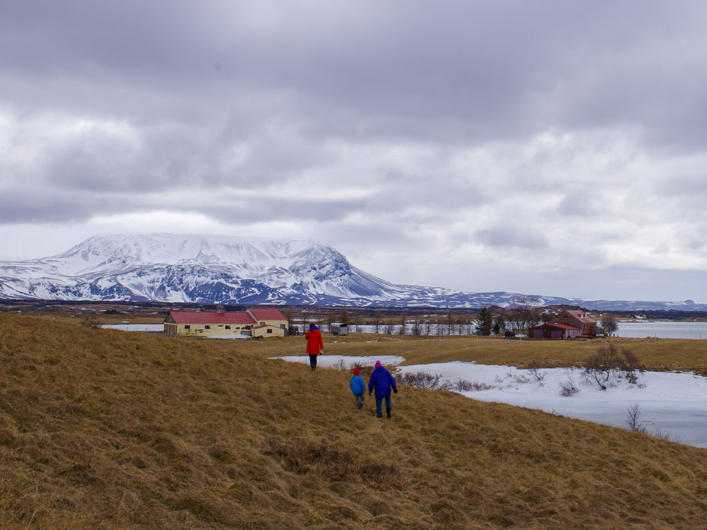 Pentax K-1 / 29 Pentax K-1   29
