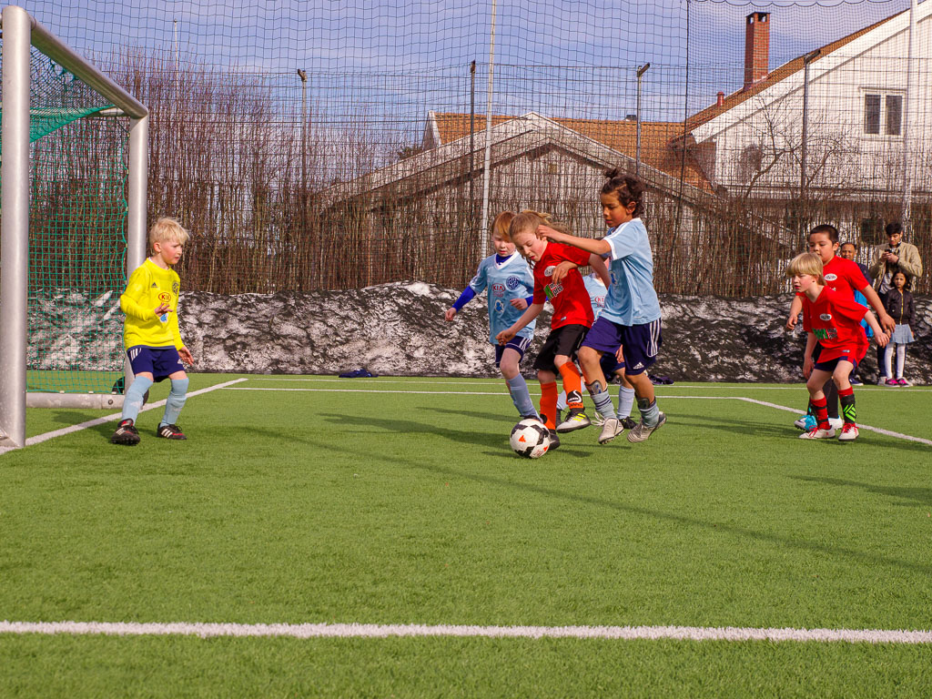 Pentax K-1 / 22 Pentax K-1   22