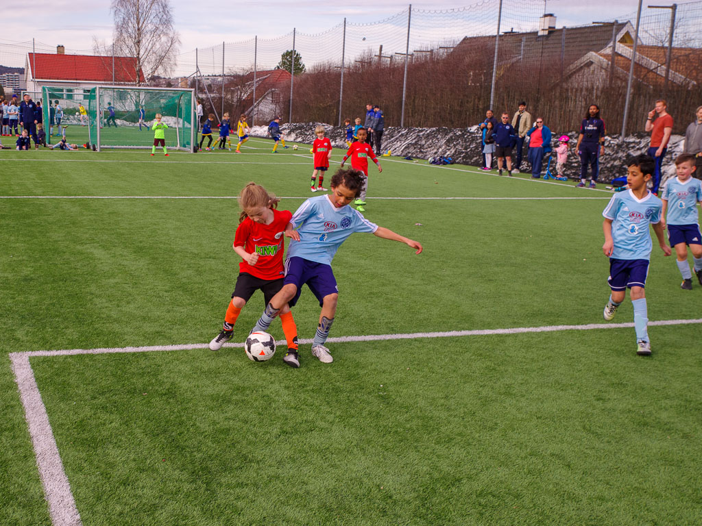 Pentax K-1 / 22 Pentax K-1   22